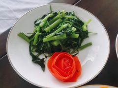 -鲸励母婴月嫂(望京店)