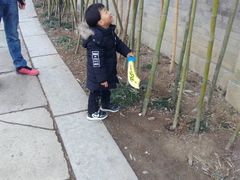 -台儿庄古城