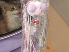 -御宝贝·A梦猫科宠物医院(国际猫友好医院)