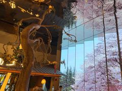 -桂满陇·海市蜃楼·黑金(国金店)