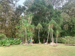 -中国科学院西双版纳热带植物园