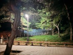 -元大都城垣遗址公园
