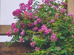 -老门东历史文化街区