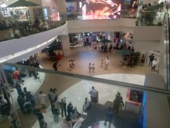 -东晨宝格丽品质造型