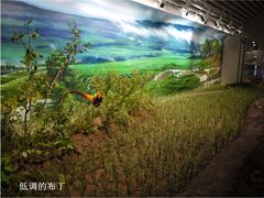 中国湿地博物馆-中国湿地博物馆