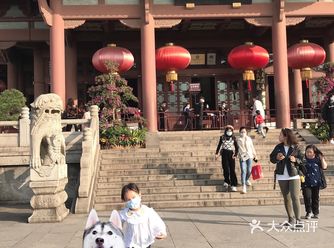 561可以直达,下了车也很快就能进了景区