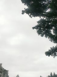 -韩美绣野生眉纹眉洗眉连锁店