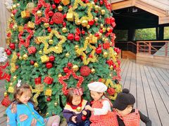 -杭州开元森泊度假乐园