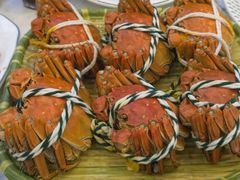 -蟹天蟹地农家菜·阳澄湖大闸蟹(浅水湾店)