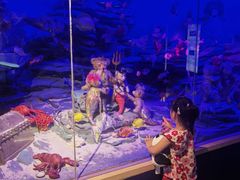 -成都泰迪熊博物馆