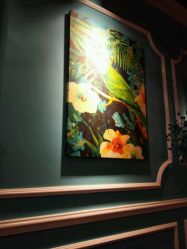 点击看大图 -金棕榈