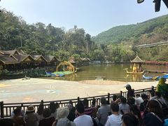 -西双版纳原始森林公园