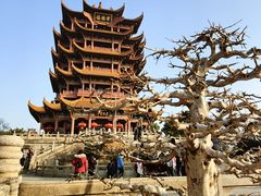 -黄鹤楼公园(黄鹤楼)