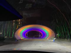 -枫花园汽车电影院(朝阳公园店)