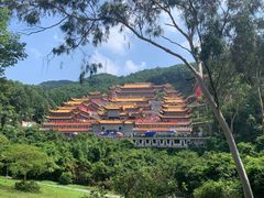 -东莞市大岭山森林公园