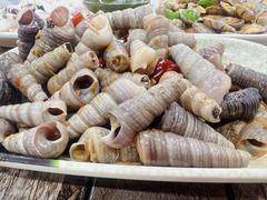 -贞姨美食·老字号海鲜大排档