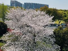 -IKEA宜家家居(南京商场)