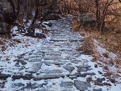 -阳台山自然风景区