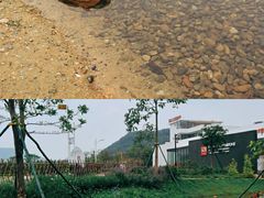 -风云岭森林公园