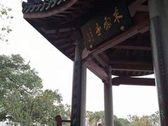 -江心屿景区