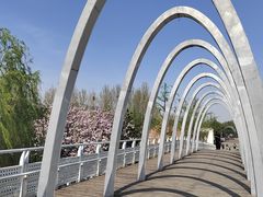 -大兴滨河森林公园