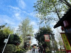 -合肥滨湖国家森林公园