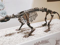 -国家自然博物馆