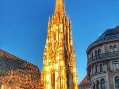 -斯蒂芬主教座堂(Stephansdom)