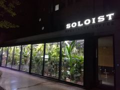 -Soloist 独奏公司(798店)