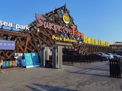 -北戴河碧螺塔海上酒吧公园