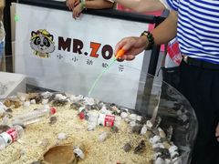 -东浩兰生上海世博展览馆