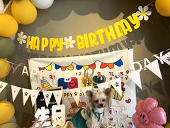 -百好乐宠物友好餐厅(朝外大街店)