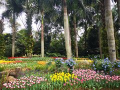 -深圳仙湖植物园