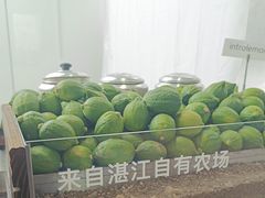 -introlemons(北京西单更新场店)