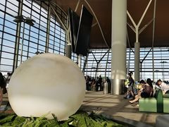 -上海浦东国际机场-T2航站楼