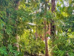 -白沙门生态公园