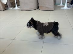 -怪兽屋·羊驼·猫咖·狗咖(俊华广场店)