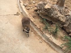 -石家庄市动物园