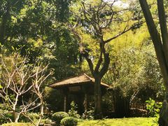 -深圳国际园林花卉博览园