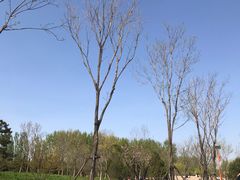 -东郊湿地公园