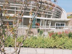 -南京古林公园