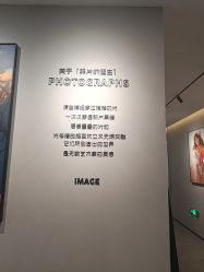 -大树儿童摄影