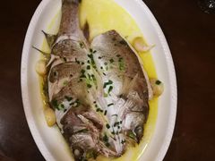招牌野生海鲈鱼-南湖船菜大酒店