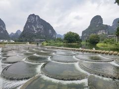 -明仕田园
