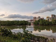 -大亚湾红树林城市湿地公园