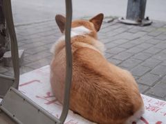 -阿木舂记·特色小吃(平江路店)