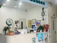 -中农国际动物医院24小时·猫科·骨科·急重症中心