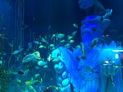 -沈阳海洋探索中心