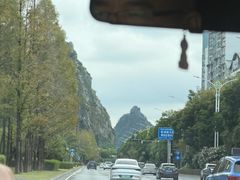 -椿记烧鹅(叠彩店)