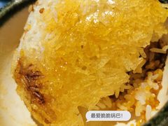 -同仁四季椰子鸡(宝安壹方城店)